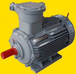YB3系列隔爆型三相異步電動(dòng)機(jī)